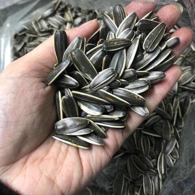 500g hạt hướng dương đã sấy chín hạt to đều