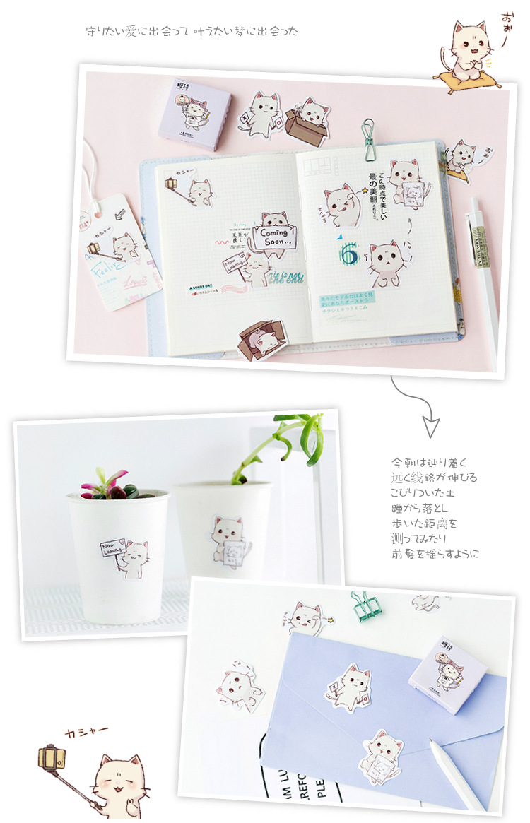 Hộp 45 stickers hình mèo