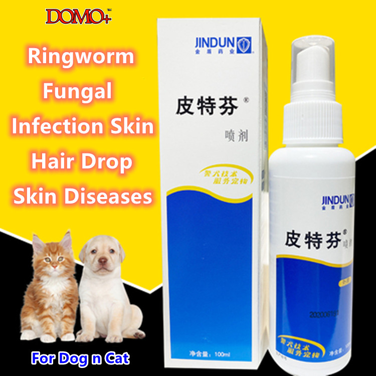 Fungal Diseaseringworm In Dogs Cat Ringworm Topical Treatment For
