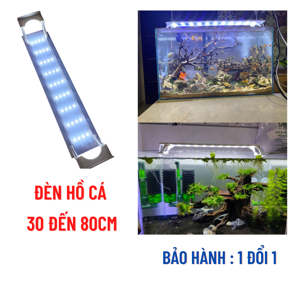 Đèn hồ cá 30cm - 80cm với 4 dãy Led TRẮNG siêu sáng cho hồ cá  hồ thủy sinh