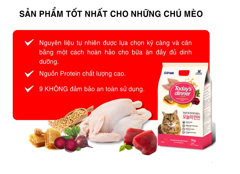 [Hoàn Tiền 10%] Hạt thức ăn cho mèo mọi lứa tuổi Today's dinner