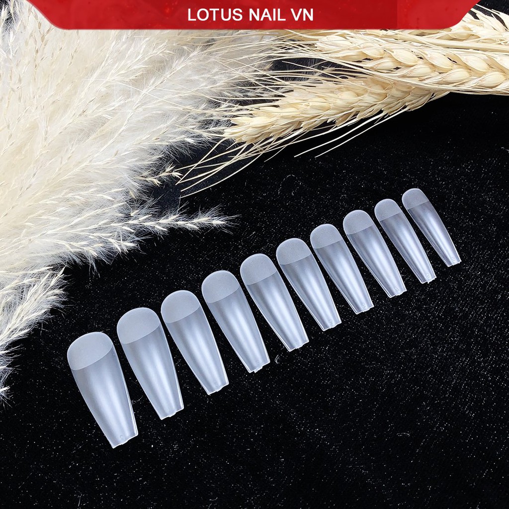 Móng úp HSM thang nhám sẵn chuẩn phom- Cheap nail