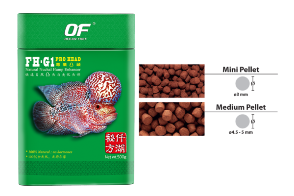 FH-G1 Pro Head thức ăn cao cấp lên đầu cho Cá La Hán