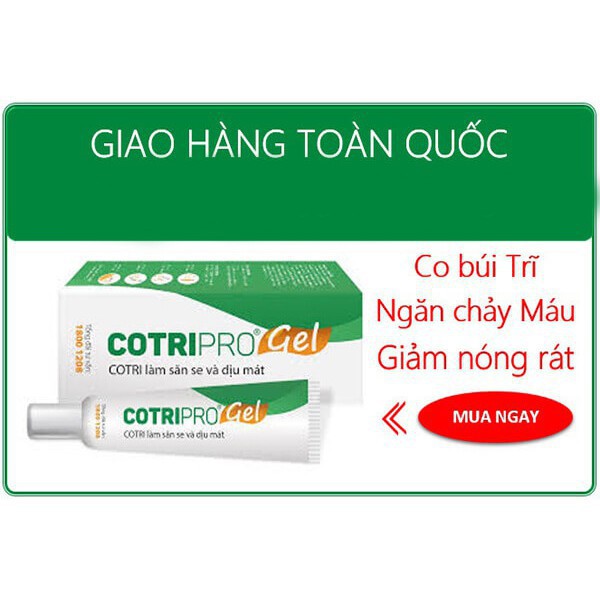 COTRIPRO - Gel Bôi Trĩ Nội, Trĩ Ngoại