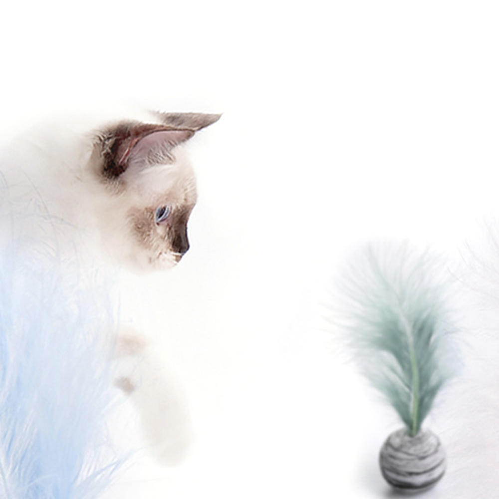 Cat Toy Feather Ball Star Ball Interactive Plush Toy Pet Supply