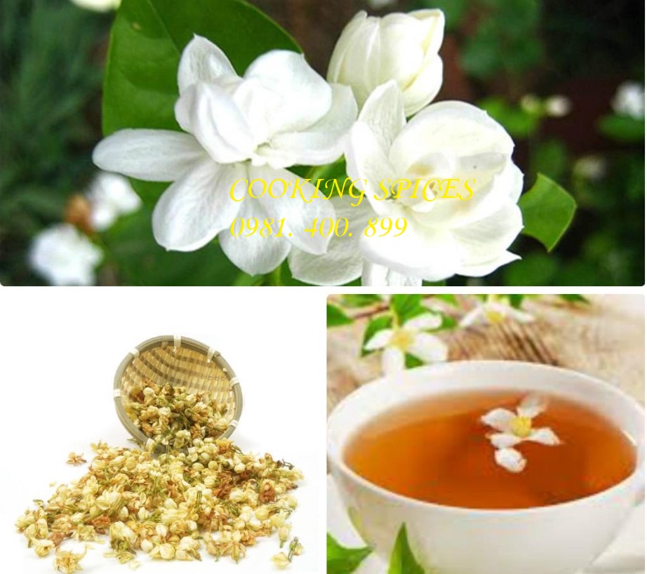 Trà Hoa Nhài ( Hoa Lài ) loại 1 dùng pha trà