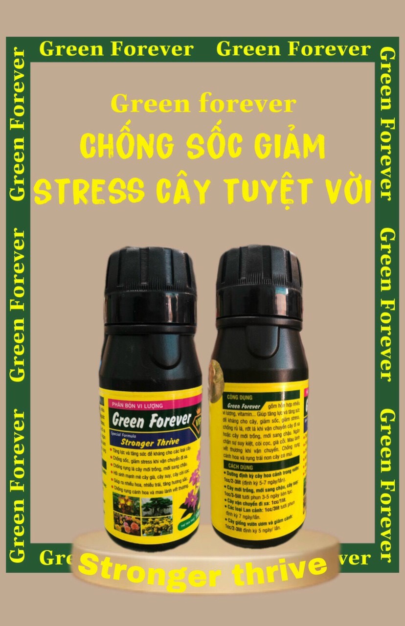 Phân bón vi lượng Green Forever 100ml