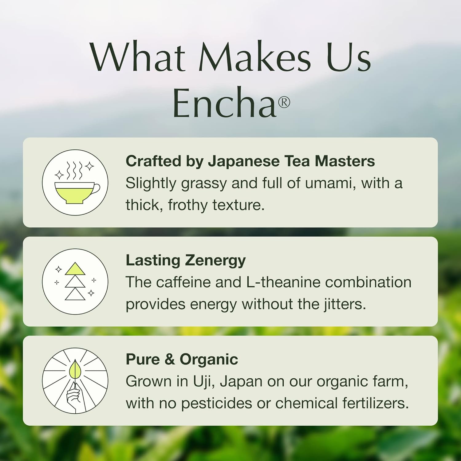 Encha%20Ceremonial%20Grade%20Matcha%20Powder%20-%20Organic%20First%20Harvest%20Japanese%20Matcha%20Green%20Tea,%20Matcha%20Tea%20From%20Uji,%20Japan%20(60g/2.12oz)%20-%20Image%204