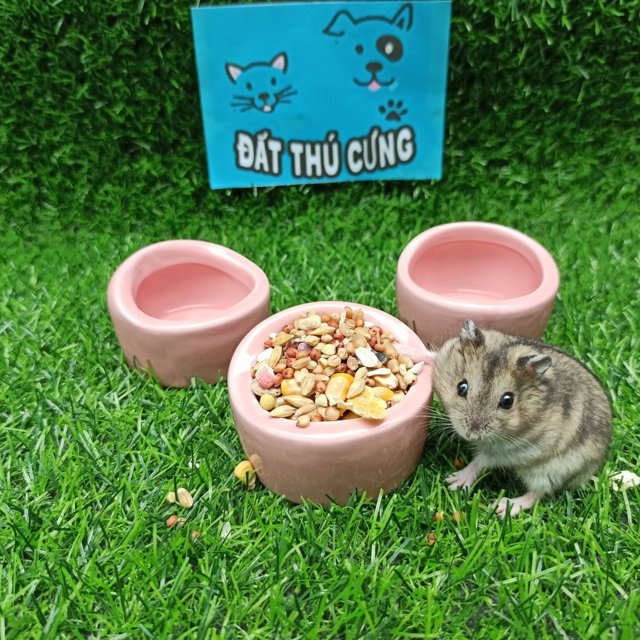 Chén ăn hamster nhựa mica hình mái vòm