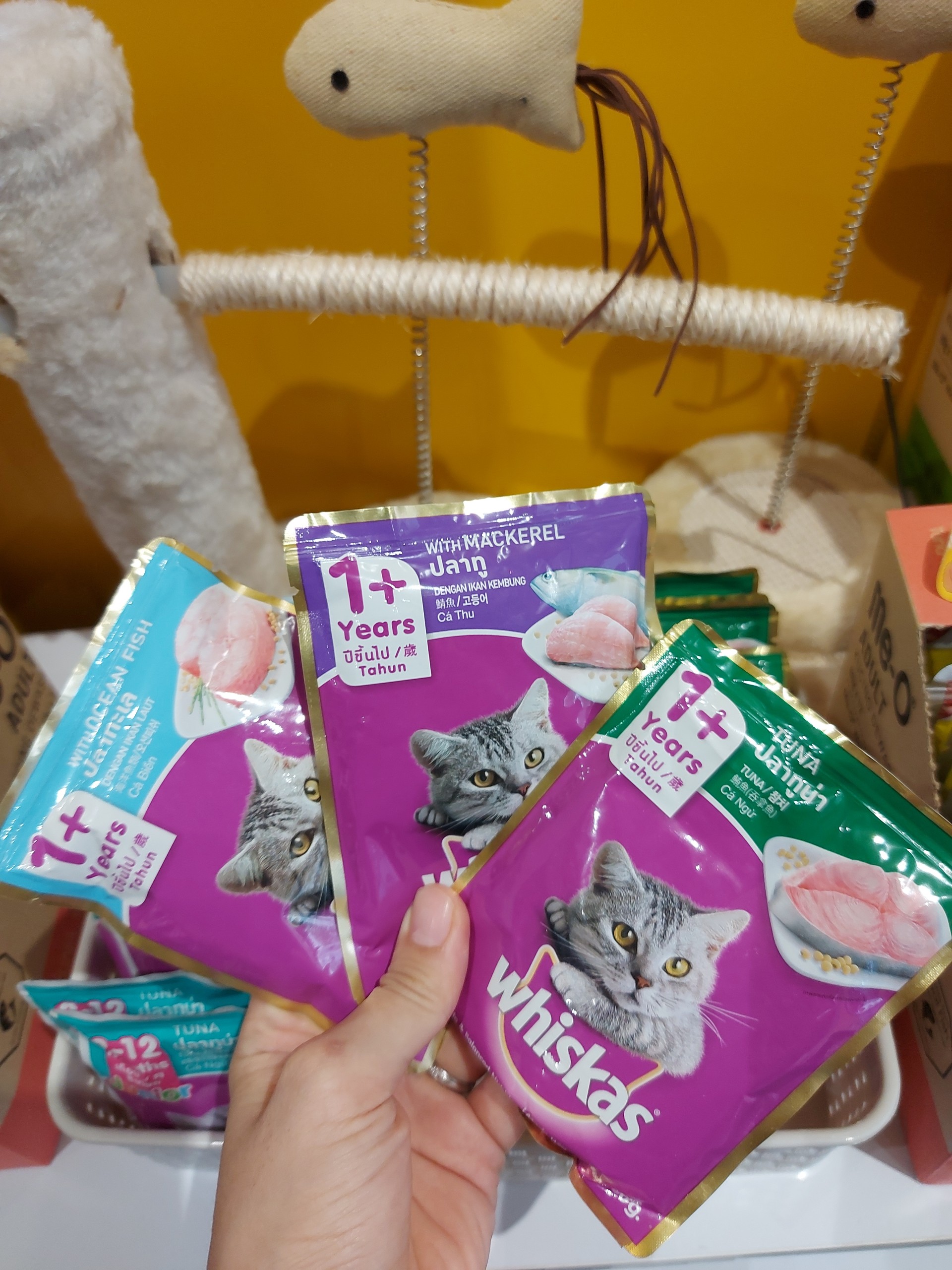 Combo 5 gói Pate Whiskas cho mèo (5 x 80g)