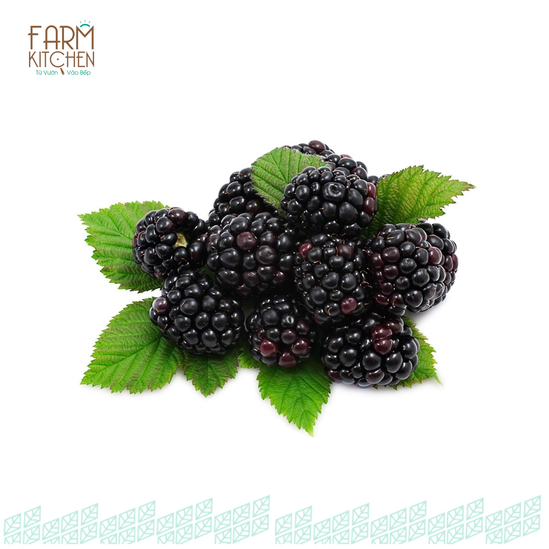 Mâm xôi đen tươi Blackberries - Hộp 250g thumbnail