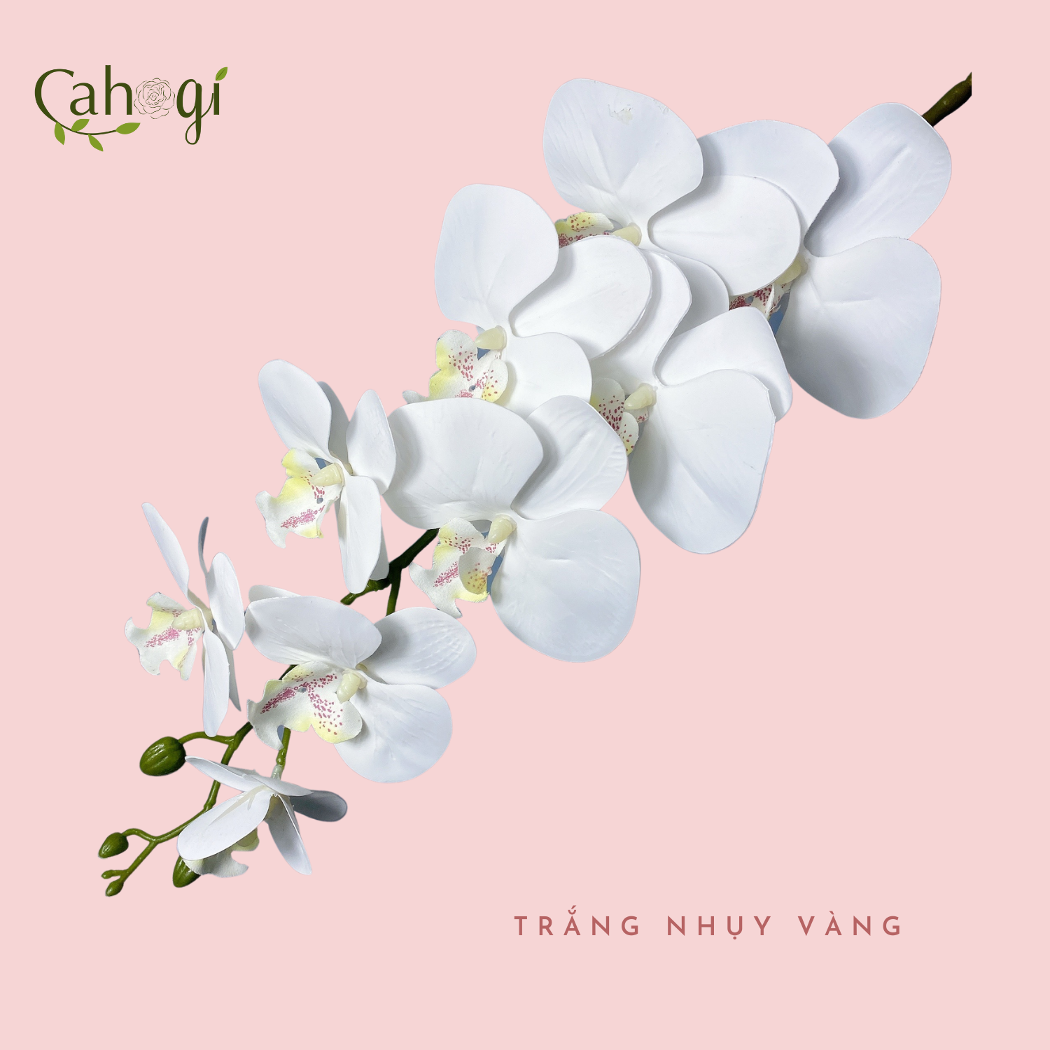 Cành Lan Cao Su Giả 9 Bông Cỡ Lớn