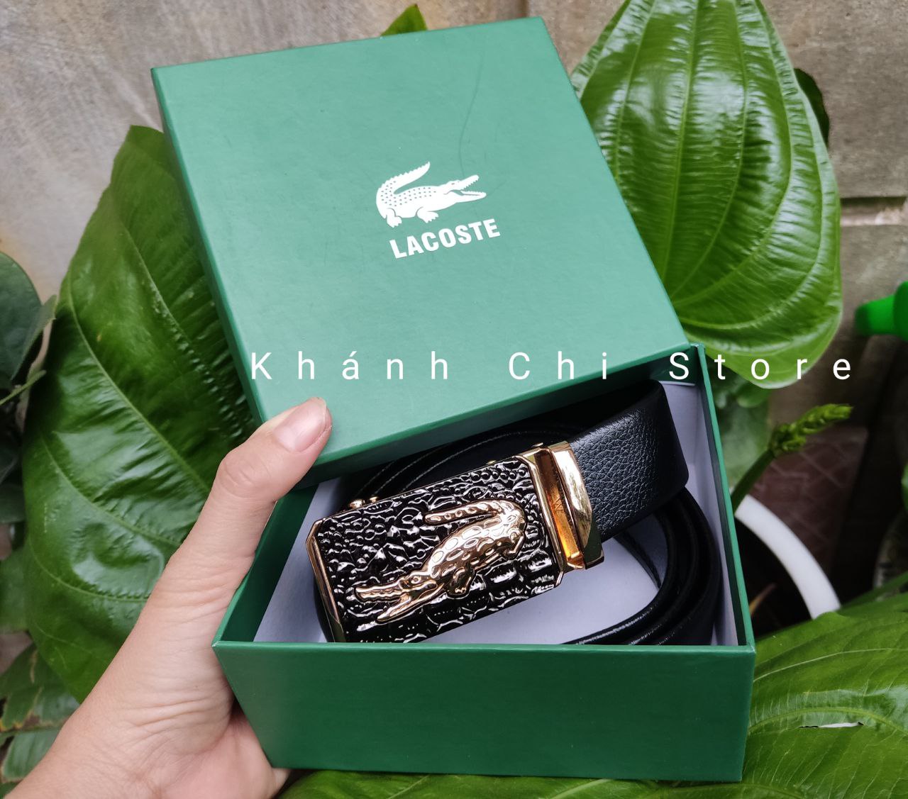 [Full Box] thắt lưng cá sấu kèm hộp cao cấp