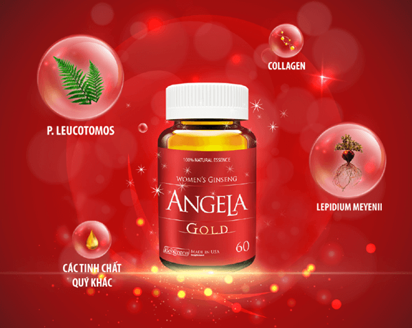 SÂM ANGELA GOLD (CHAI 60 VIÊN)