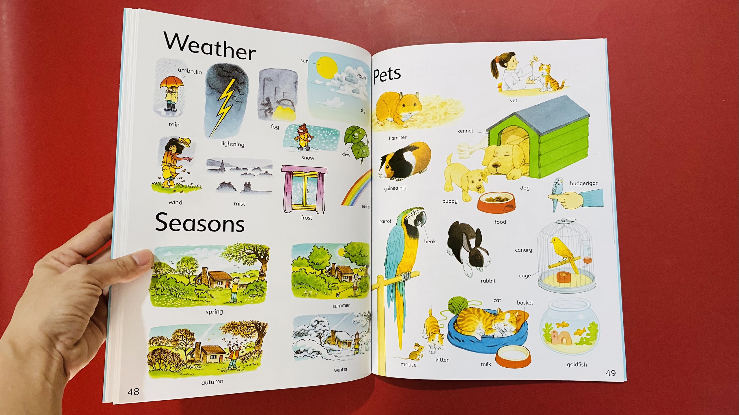 First Thousand Words in English