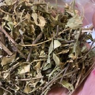 Dây thìa canh cao cấp ( gói 500g )