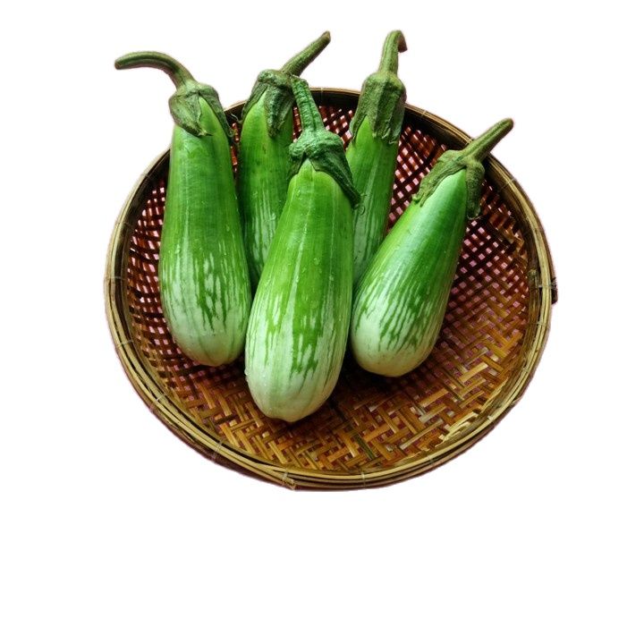 Hạt giống cà phổi sọc lem f1 - gói 1g