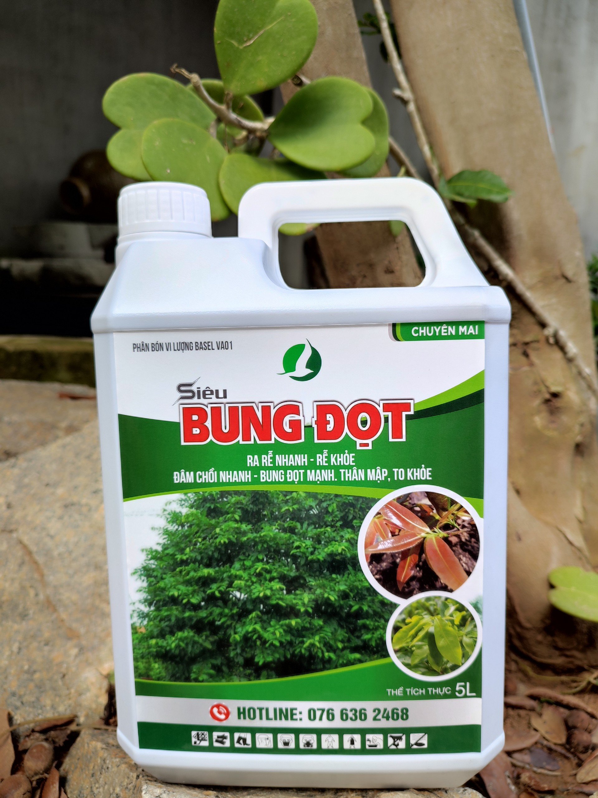 SIÊU BUNG ĐỌT MAI CAN 5 LÍT SIÊU TO SIÊU TIẾT KIỆM