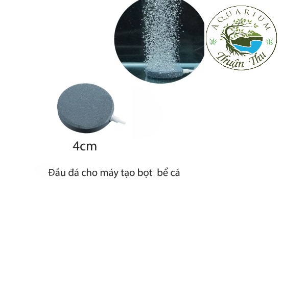 Đĩa sủi oxy cho hồ cá, hồ thủy sinh