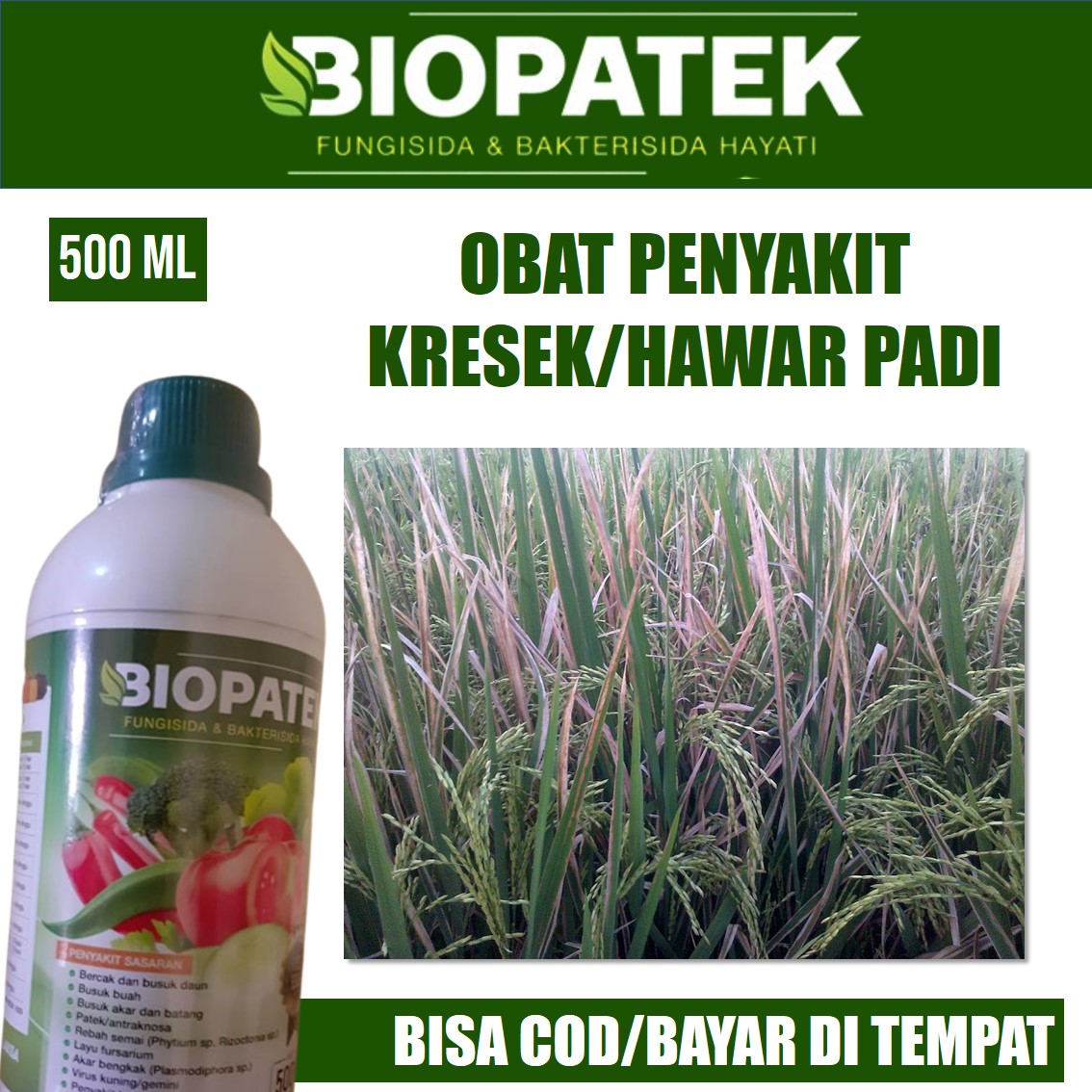 Ml Biopatek Fungisida Hama Kresek Padi Obat Hama Kresek Padi Sawah