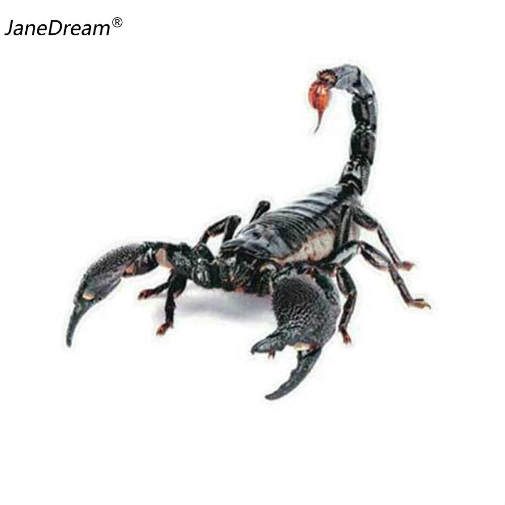 JaneDream 1PC 3D Car Stickers Universal Spider Scorpion Lizard Shape Emblem Chrome 3D Car Truck Motor Decal