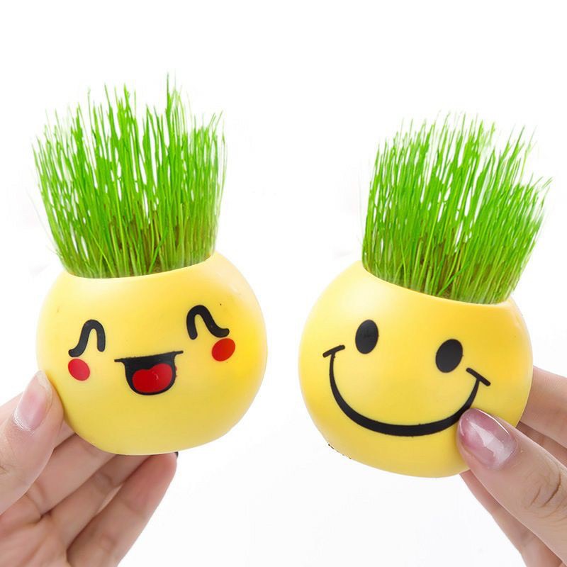 Chậu trồng cây mini để bàn