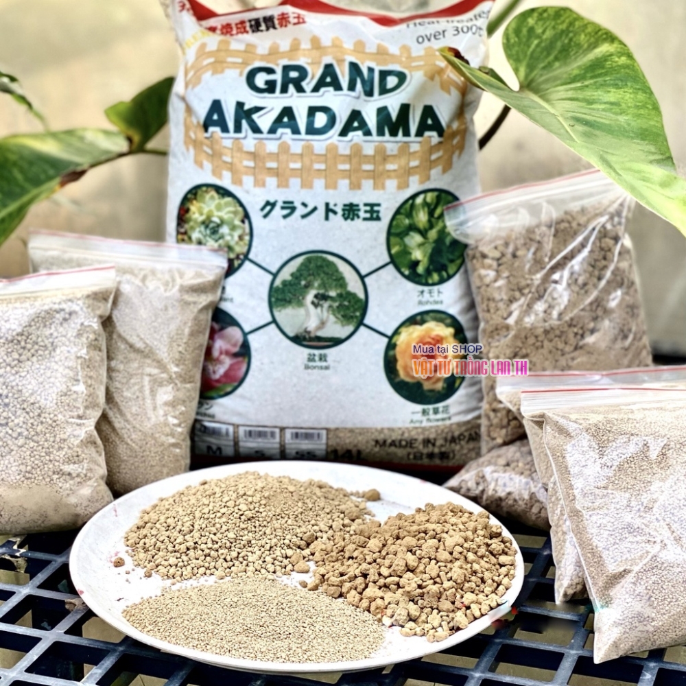Đất akadama, đất trồng bonsai akama size M giá tốt