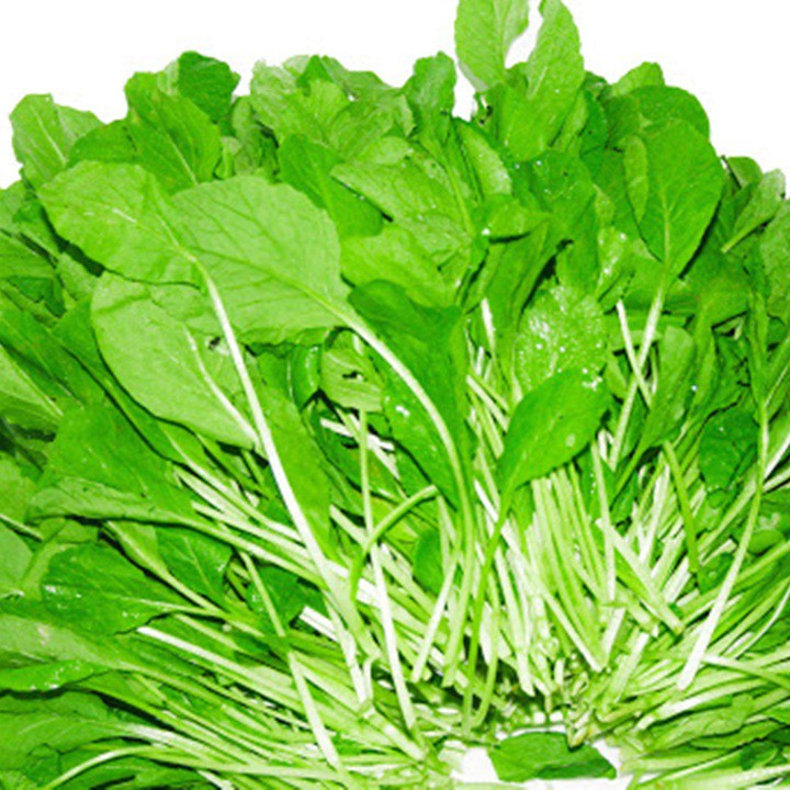 Hạt Giống Cải Trắng Ăn Non (20gr)
