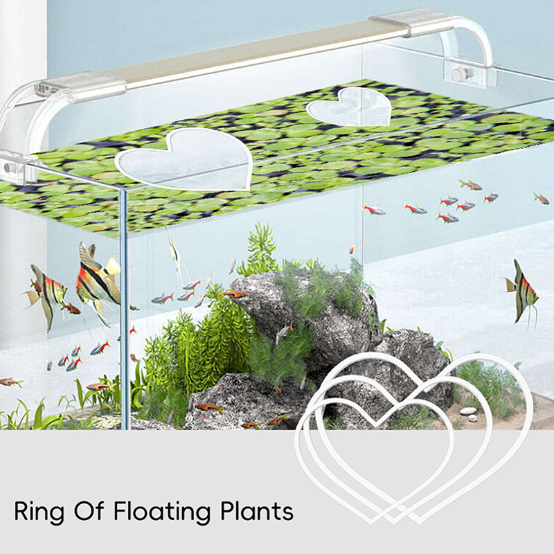 5Pcs Duckweed Ring Fish Tank Isolation Circles Heart Shape Floating ...