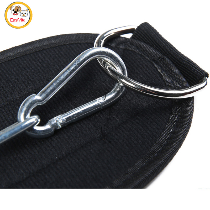 Professional Weightlifting Belt With Chain Gym Workout Pull Ups Belt For Weight Lifting Squat Training Fitness