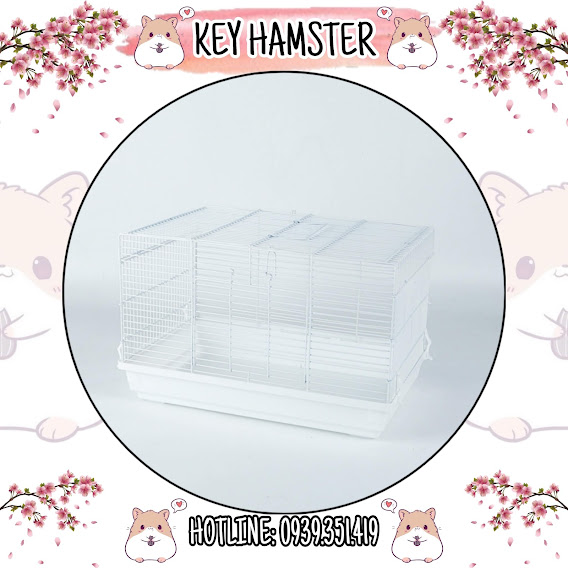 Lồng đại - lồng nuôi hamster.