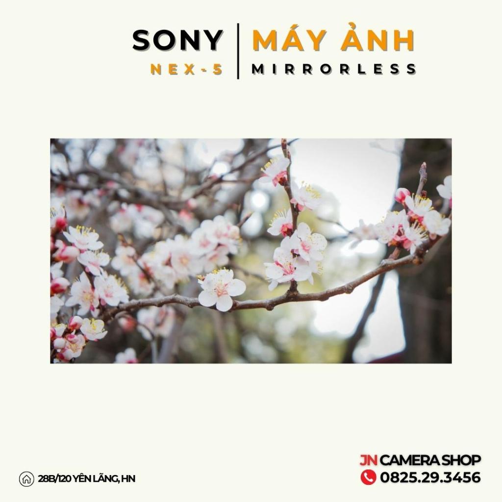 Sony Nex-5 + Ống kính 16-50mm