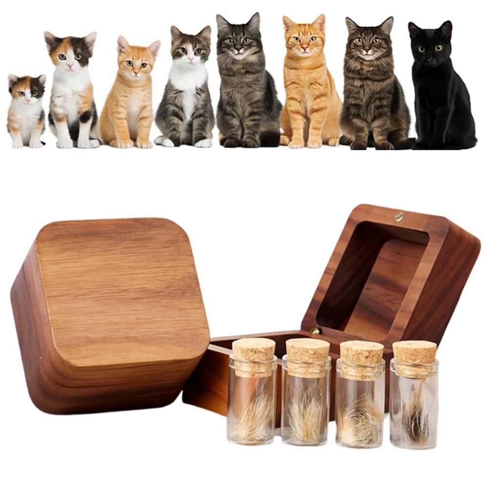 Remembrance Box Wooden Pet Hair Keepsake Box Cartoon Sentimental Baby ...