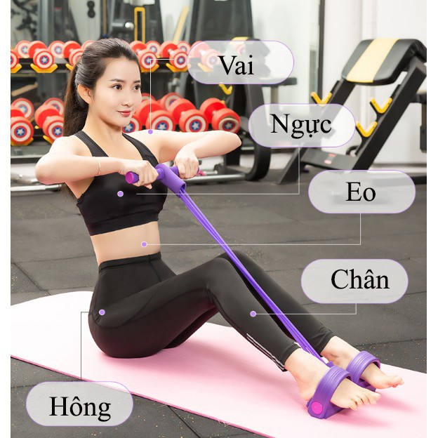 Dây thun tập cơ bụng đa năng