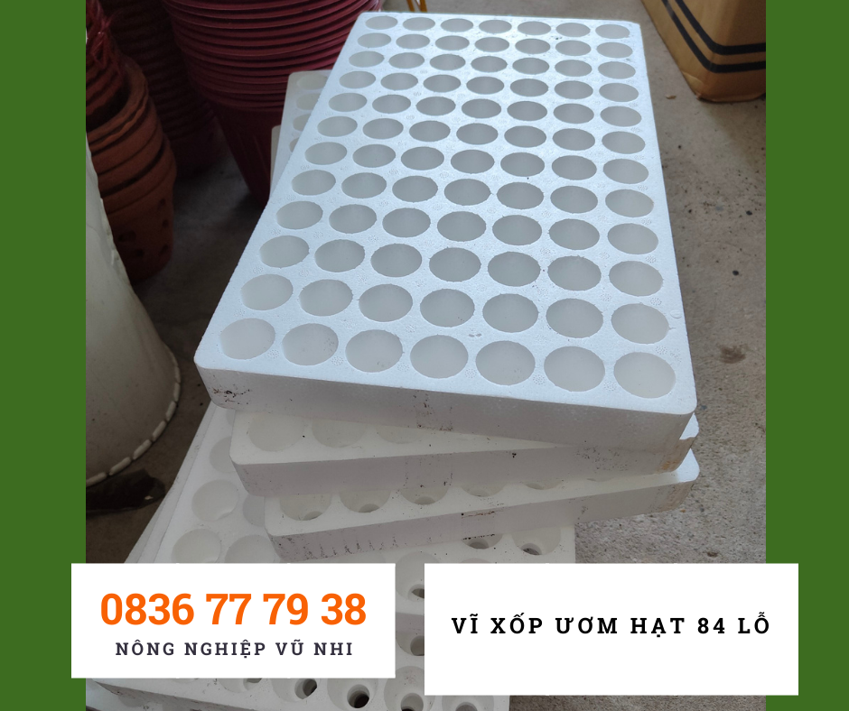 Vĩ xốp ươm hạt 84  ( khay xốp ươm cây)- hatgiong24h