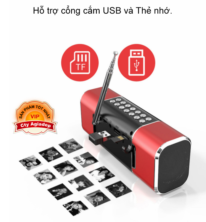 Loa bluetooth hàng hiệu SANSUI Nhật Bản D11