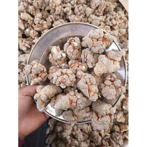 Củ Tam Thất Bắc 500gr Hàng 50 Củ/1Kg [củ 5 năm tuổi]