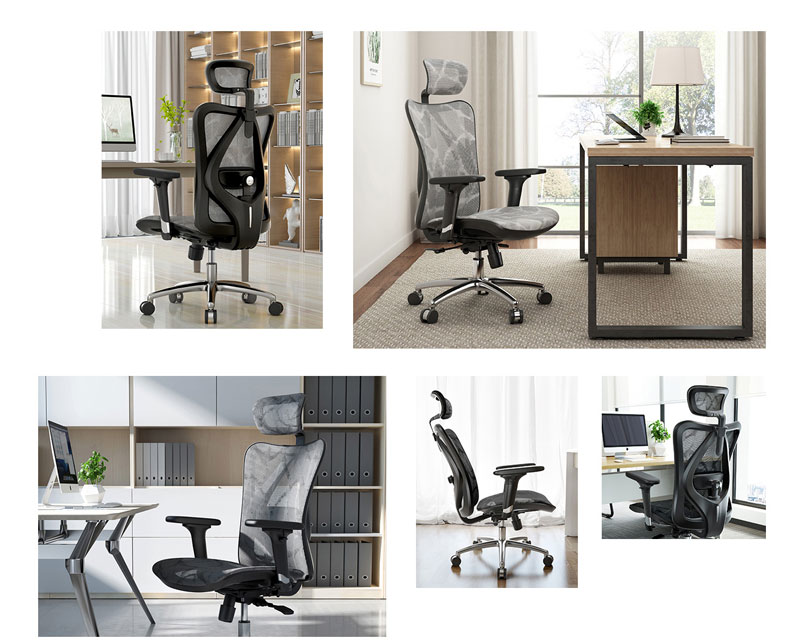 GHẾ CÔNG THÁI HỌC ERGONOMIC M57