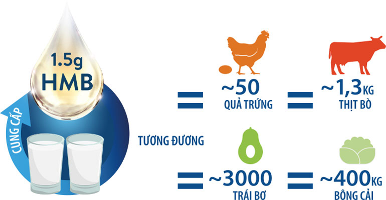 Sữa Ensure Gold (HMB) hương vani