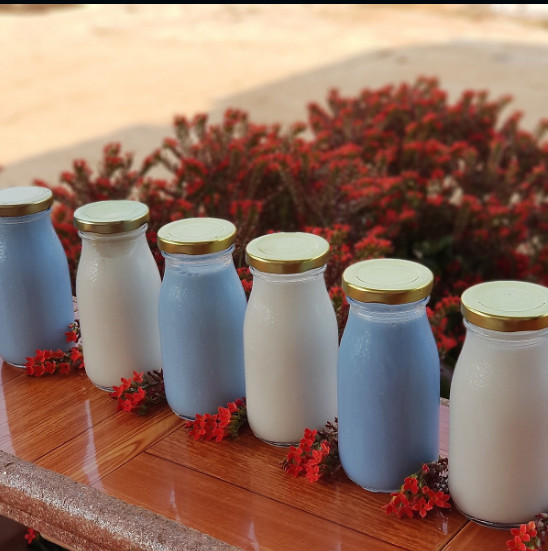 Chai thủy tinh đựng sữa hạt 200ml - 8 chai