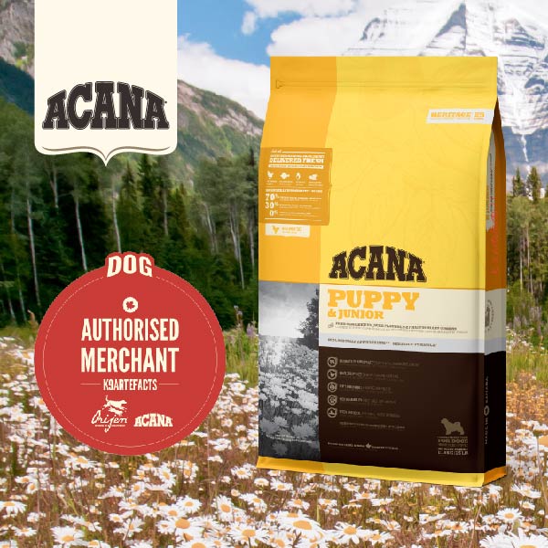 acana puppy junior medium