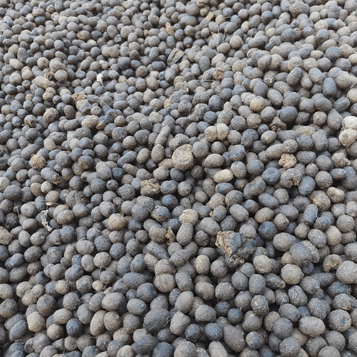 [HCM]Phân dê cho lan và cây cảnh 1kg