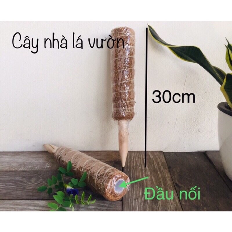 Trụ cột xơ dừa cho cây leo bám cột 30/40/50cm ga625