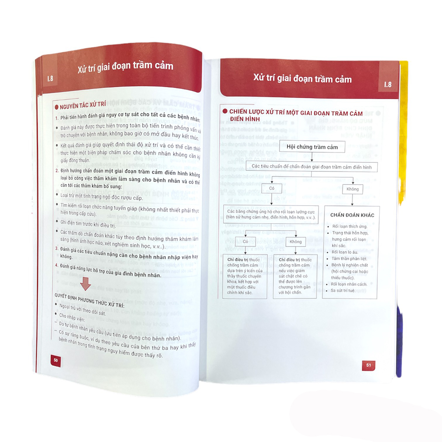 ARTBOOK - Sách Y Học - Cấp Cứu Tâm Thần