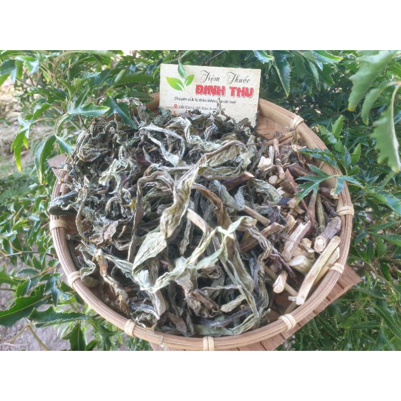 Bồ Công Anh Sấy Khô Lợi Sữa 1kg