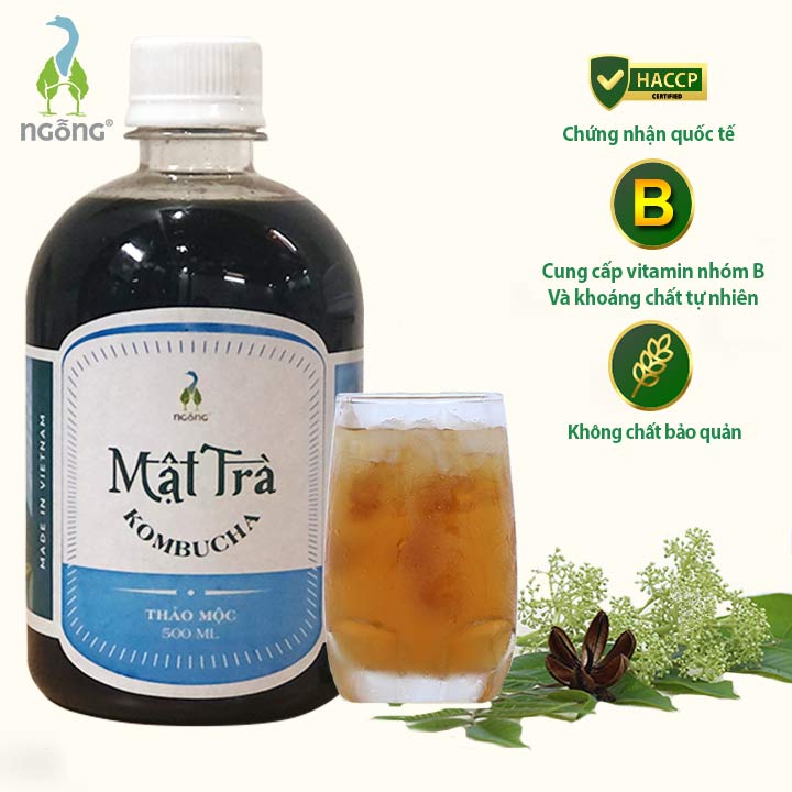 Mật Trà KombuchaThảo Mộc 500ml