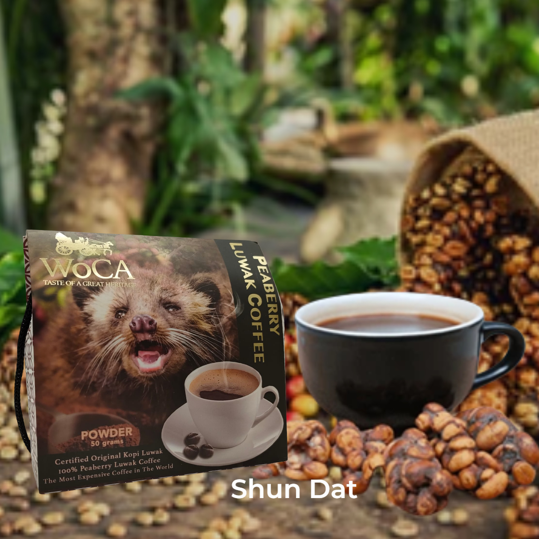 Woca Kopi Luwak Drip Coffee and products | Lazada Singapore
