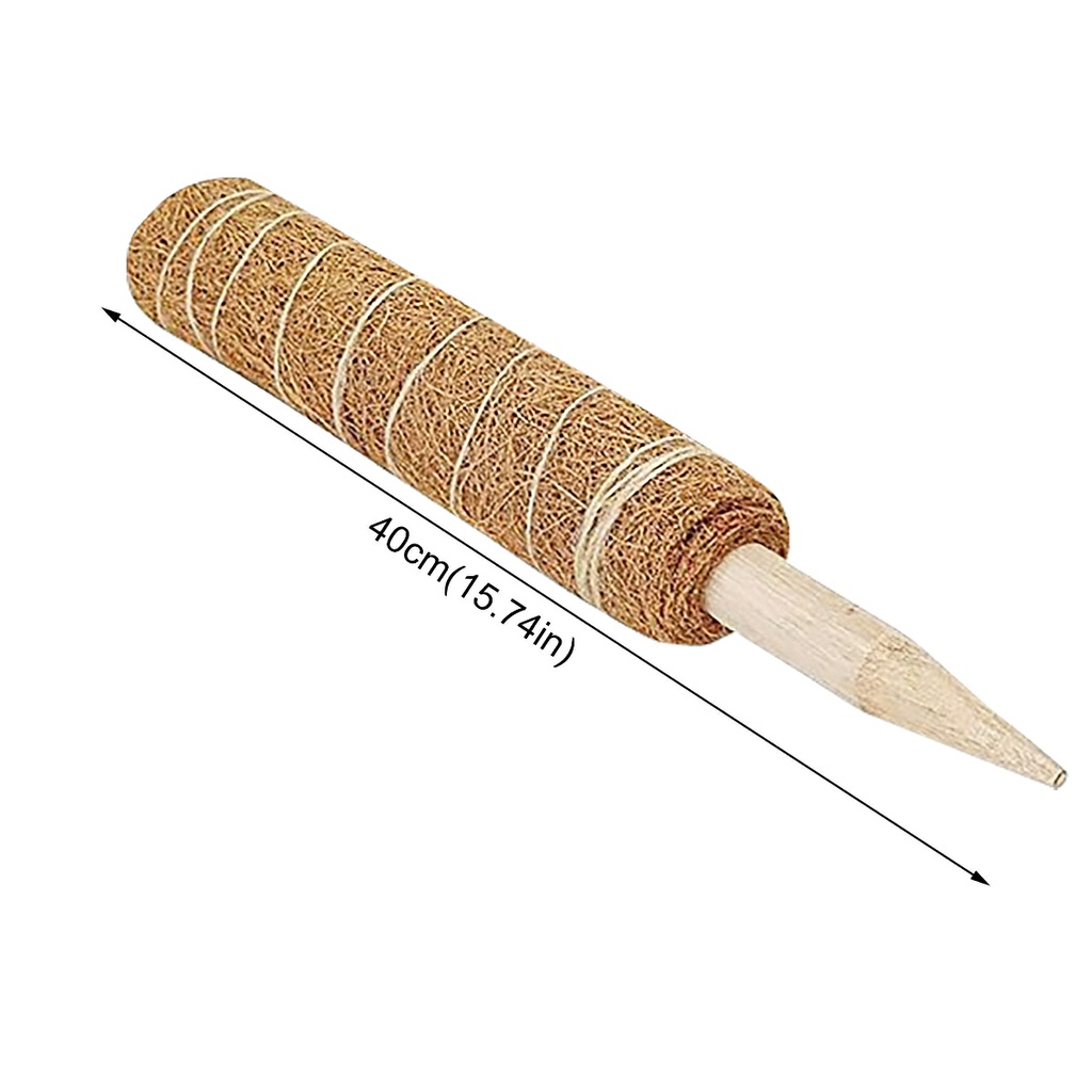 30/40/50cm coconut shell climbing Post column-Aeneas shop