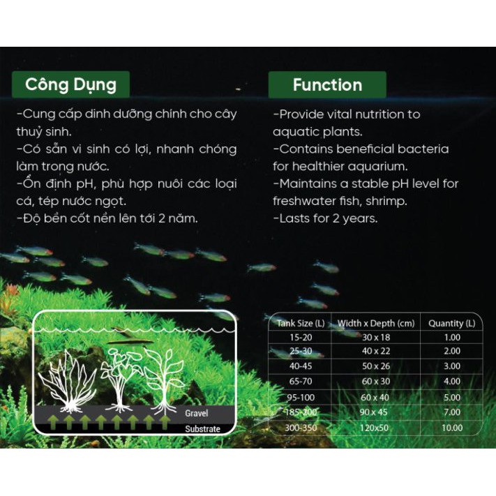 Cốt nền thuỷ sinh - Vũ Aqua . Rain Aqua