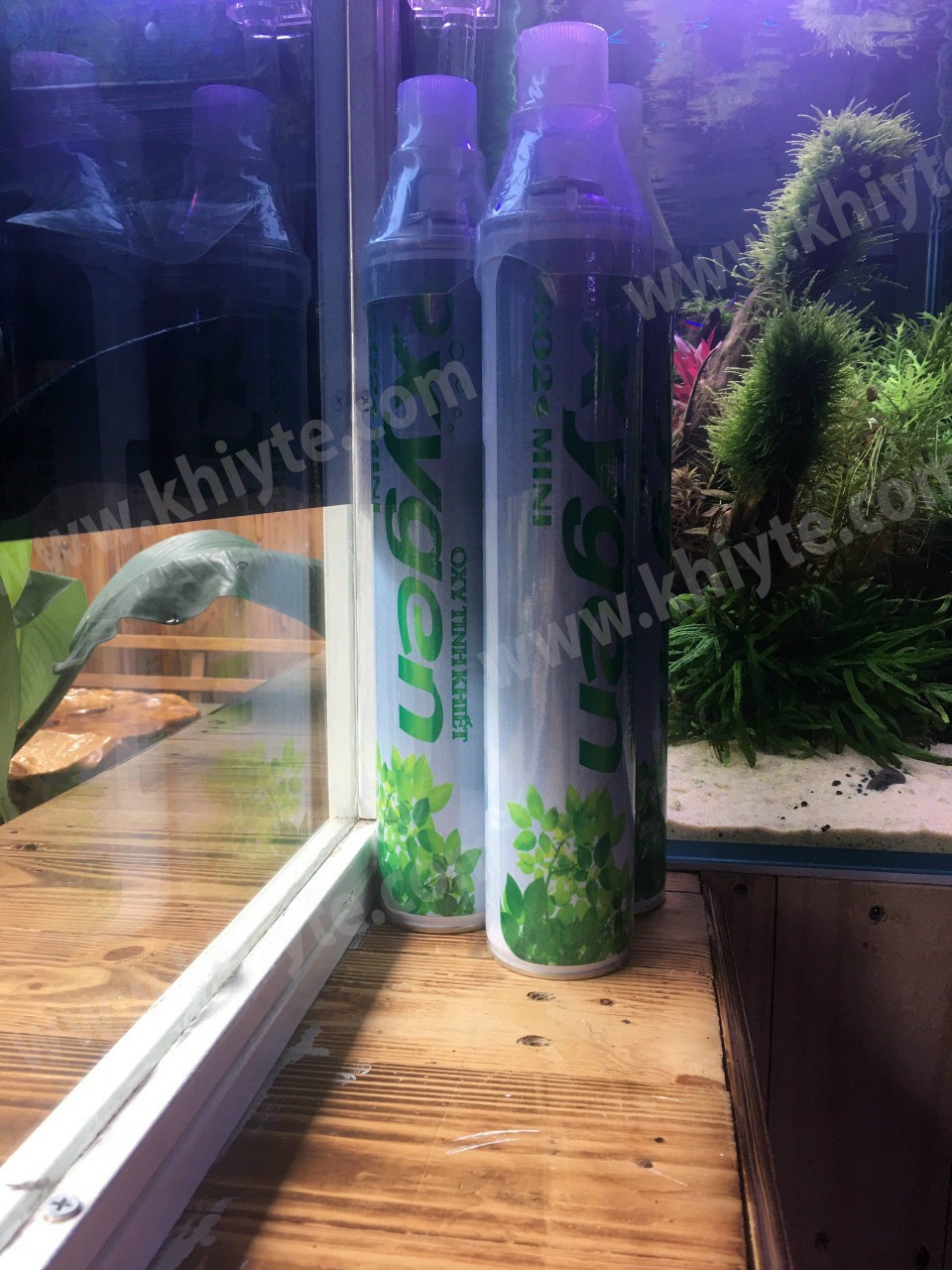 Bình Dưỡng Khí Oxy mini